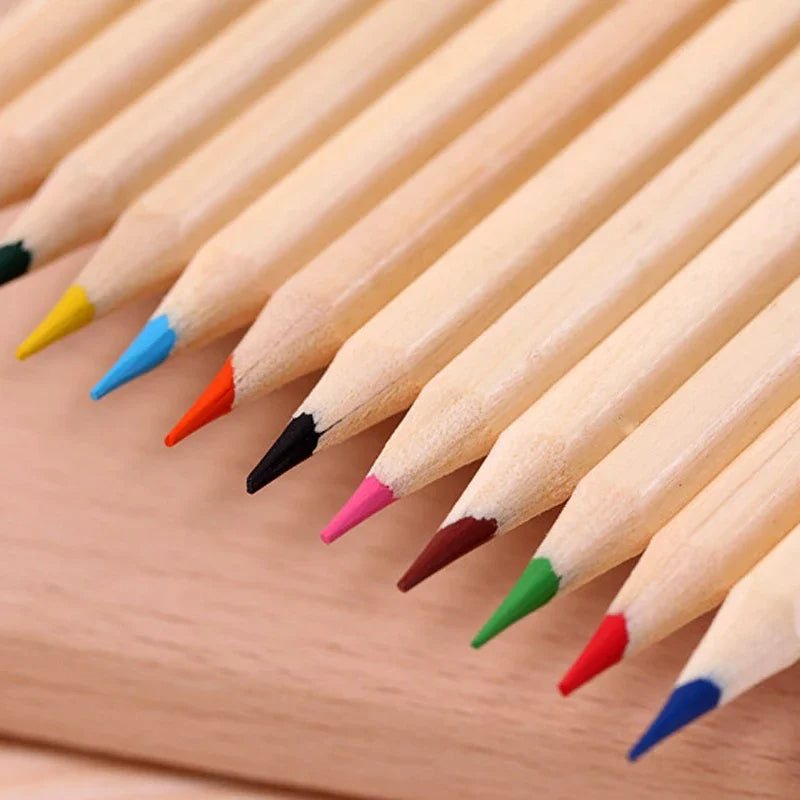 12 Coloured Pencil Pack